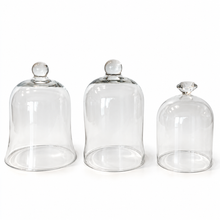 Load image into Gallery viewer, 3 sizes of Glass Cloche - Dream Weaver