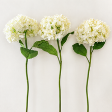 Load image into Gallery viewer, Three long-stemmed artificial white hydrangea flowers with green leaves and stems, arranged side by side against a plain off-white background.