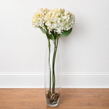 Load image into Gallery viewer, A tall, slender clear glass vase filled with two long-stemmed white hydrangea flowers and small pebbles at the base, placed on a wood floor against a white wall.