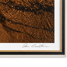 Charger l'image dans la galerie, Ian Coristine “Chippewa Gold” – Signed Framed 1000 Islands Photography Signature