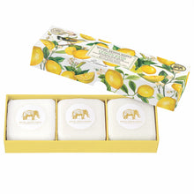 Load image into Gallery viewer, Lemon Basil Soap Gift Set | Michel Design Works
