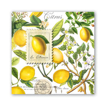 Load image into Gallery viewer, Lemon Basil Luncheon Napkins | Michel Design Works
