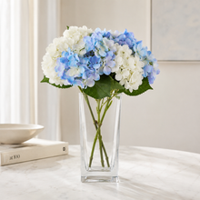 Load image into Gallery viewer, Square Clear Glass Vase – 9" | Dream Weaver Canada