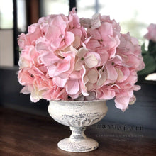 Load image into Gallery viewer, Hydrangea Bush | Blush | Dream Weaver Canada