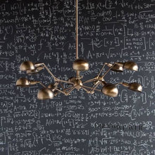 Load image into Gallery viewer, Ursidae Chandelier