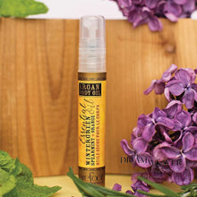 Load image into Gallery viewer, Wintergreen Argan Oil Dream Weaver