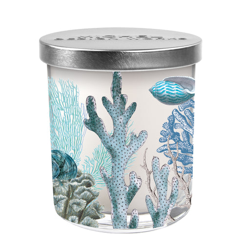 Ocean Tide Scented Jar Candle | Michel Design Works