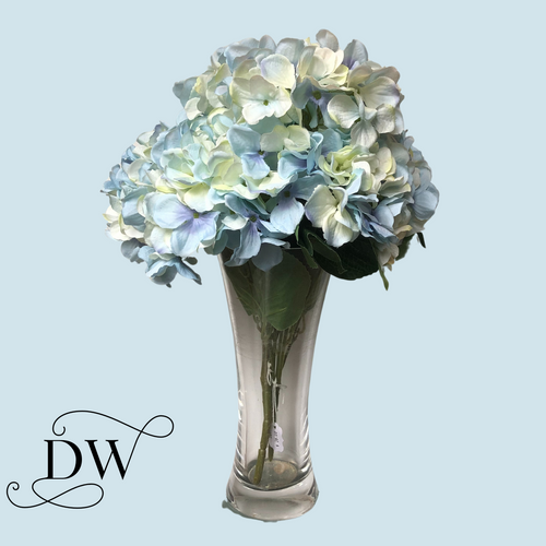 Blue and Cream Hydrangea