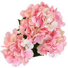 Load image into Gallery viewer, A cluster of artificial pink hydrangea flowers with white tips and dark green leaves, isolated on a solid white background.
