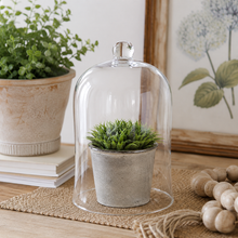 Load image into Gallery viewer, Clear Glass Cloche Display Dome – 8" DW 2
