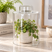 Charger l'image dans la galerie, Clear Glass Display Cloche with Flat Top Handle – 8.75" 4
