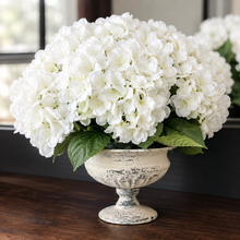 Load image into Gallery viewer, White hydrangea flower arrangement in a distressed white pedestal bowl, placed on a dark wooden surface with a softly blurred indoor background.

