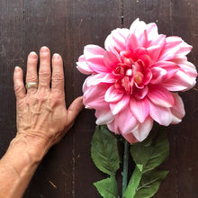 Charger l&#39;image dans la galerie, Dahlia | Dinner Plate Bright Pink
