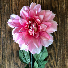 Charger l&#39;image dans la galerie, Dahlia | Dinner Plate Bright Pink
