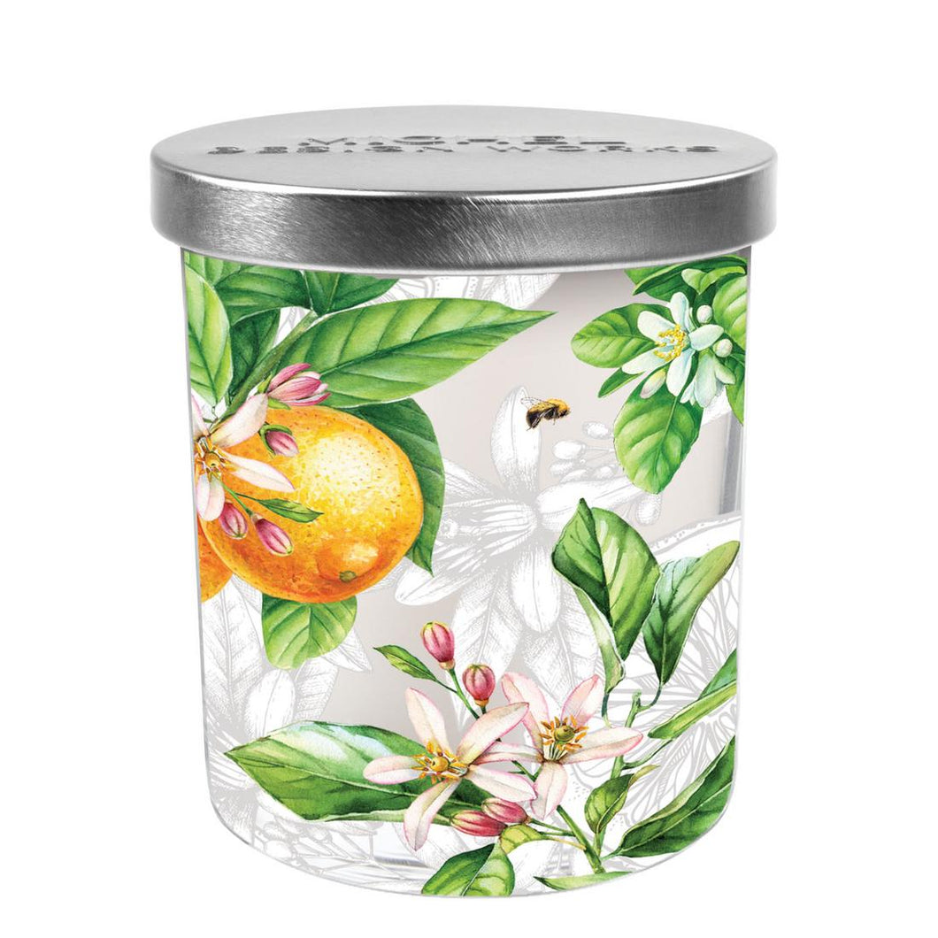 L'Orange Scented Jar Candle | Michel Design Works Dream Weaver