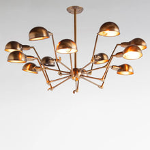 Charger l'image dans la galerie, Mercana Ursidae 12-Light Sputnik Chandelier | Antique Brass | Store Display  6
