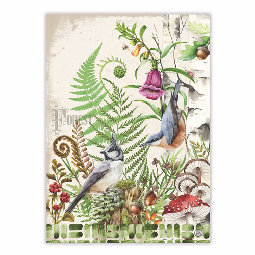 Moss & Oak Kitchen Towel | Michel Design Works Dream Weaver Canada