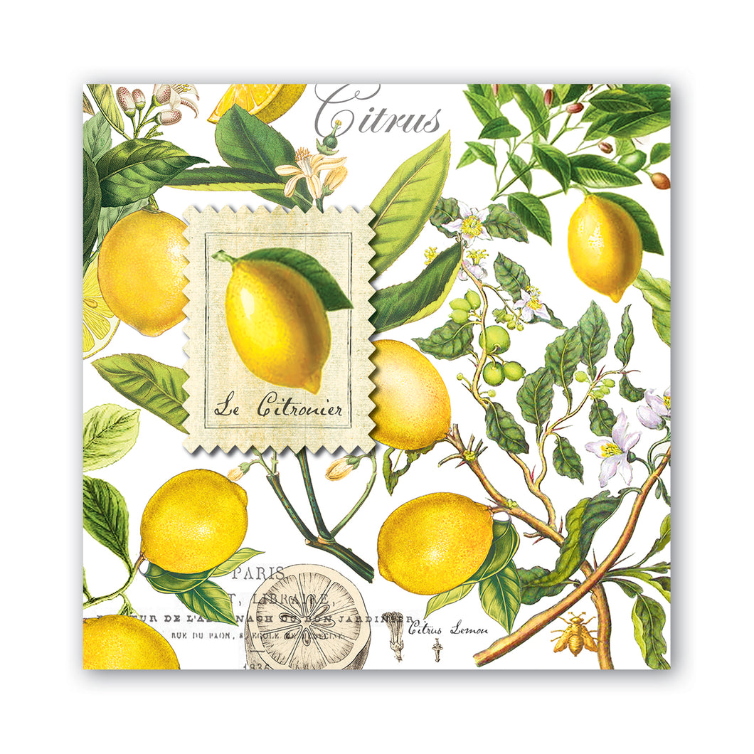 Lemon Basil Cocktail Napkins | Michel Design Works