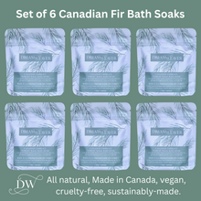 Load image into Gallery viewer, Forest Walk | Canadian Fir Bath Soak | Dream Weaver | Set of 6
