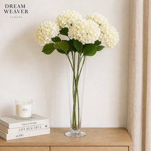 Load image into Gallery viewer, Tall Clear Glass Pedestal Vase – 16" DW 2
