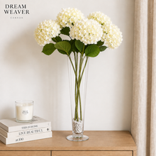 Load image into Gallery viewer, Tall vase with Hydrangea and white rocks

