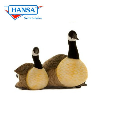 Extra Large Canadian Goose | Hansa