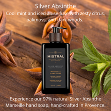 Load image into Gallery viewer, Silver Absinthe Liquid Hand Soap
