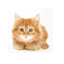 Load image into Gallery viewer, Ginger Kitten | Lunch Napkin
