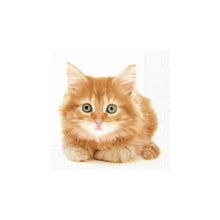 Load image into Gallery viewer, Ginger Tabby  Kitten | Lunch Napkin
