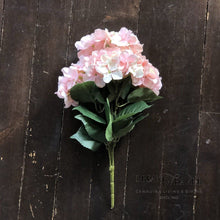 Load image into Gallery viewer, Hydrangea Bush | Blush | Dream Weaver Canada
