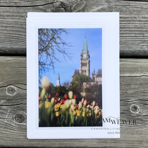 Peace Tower Tulips | Caleb Ficner Cards